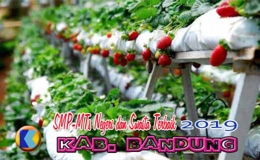 Daftar Peringkat SMP-MTS Terbaik 2019 Kabupaten Bandung